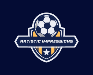 Soccer Ball Shield logo design