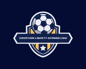 Soccer Ball Shield logo design