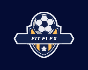 Soccer Ball Shield logo design