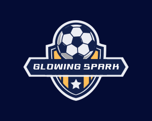 Soccer Ball Shield logo design