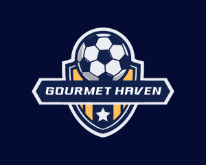 Soccer Ball Shield logo design