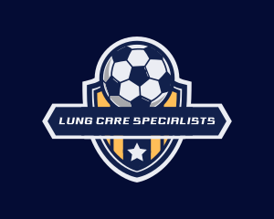 Soccer Ball Shield logo design