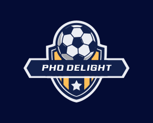 Soccer Ball Shield logo design