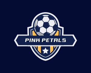 Soccer Ball Shield logo design