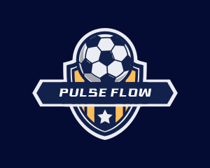 Soccer Ball Shield logo design