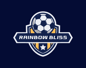 Soccer Ball Shield logo design