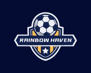 Soccer Ball Shield logo design