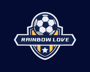 Soccer Ball Shield logo design