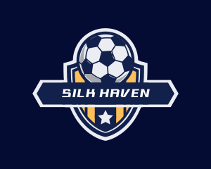 Soccer Ball Shield logo design