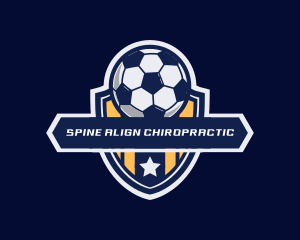 Soccer Ball Shield logo design