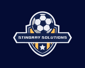 Soccer Ball Shield logo design