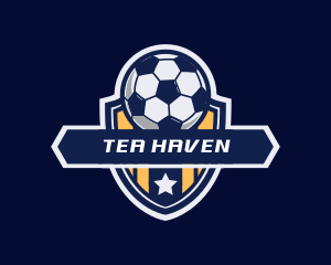 Soccer Ball Shield logo design