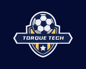 Soccer Ball Shield logo design