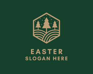 Pine Tree - Pine Tree Forest logo design