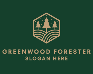 Pine Tree Forest logo design