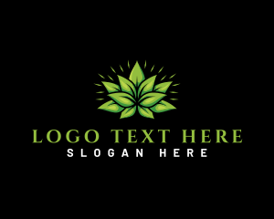 Vegan - Leaf Garden Botanical logo design