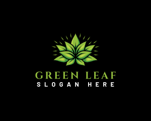 Leaf Garden Botanical logo design