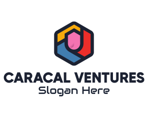 Colorful Hexagon Startup logo design