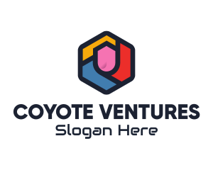 Colorful Hexagon Startup logo design