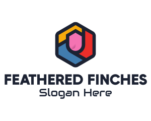 Colorful Hexagon Startup logo design