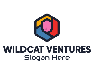 Colorful Hexagon Startup logo design