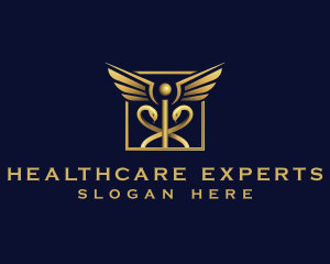 Medical Caduceus Healthcare logo design