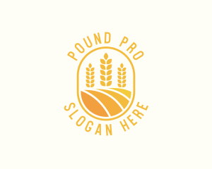 Agriculture Wheat Crop logo design