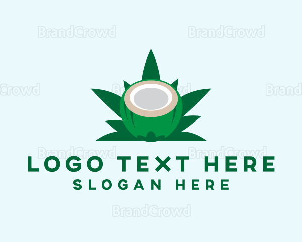 Tropical Coconut Leaf Logo