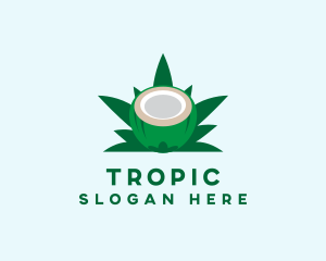 Tropical Coconut Leaf logo design