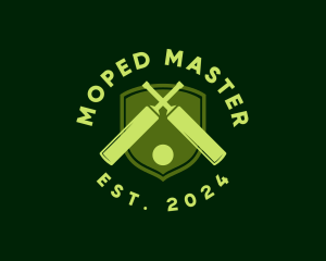 Cricket Bat Ball logo design