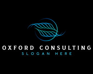 Finance Tech Consult logo design