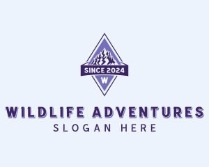 Adventure Mountaineering Summit logo design