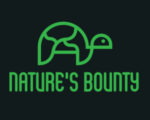 Turtle Nature Conservation logo design