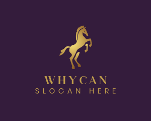 Equestrian - Premium Equine Horse logo design