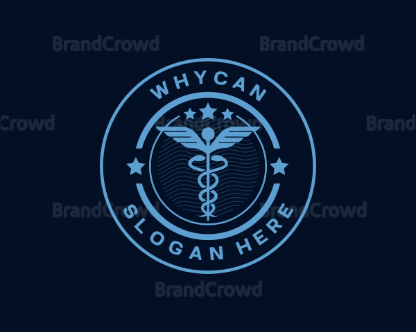 Caduceus Medical Hospital Logo