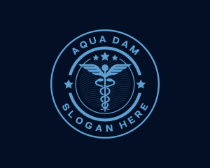 Caduceus Medical Hospital logo design