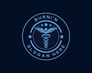 Caduceus Medical Hospital logo design