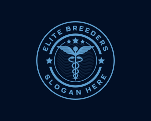 Caduceus Medical Hospital logo design