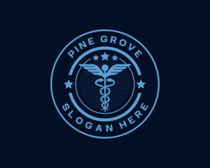 Caduceus Medical Hospital logo design