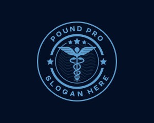 Caduceus Medical Hospital logo design