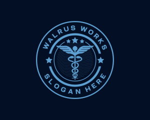 Caduceus Medical Hospital logo design