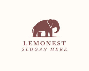 Desert - Elephant Zoo Animal logo design
