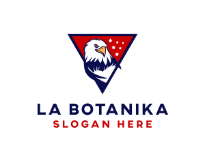 Eagle - American Bald Eagle logo design