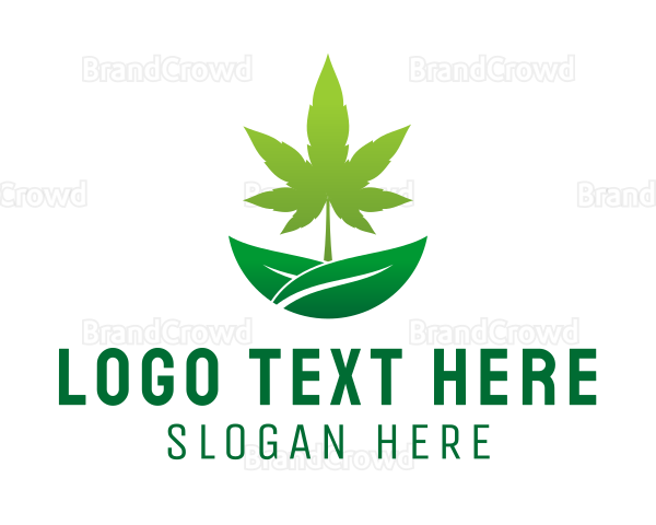 Organic Marijuana Plant Logo