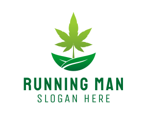 Organic Marijuana Plant  Logo