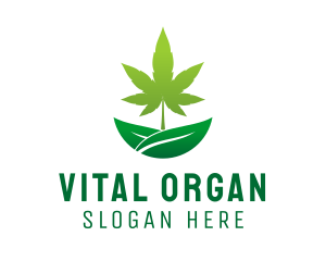 Organic Marijuana Plant  logo design