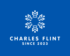 Winter - Decorative Radial Snowflake logo design