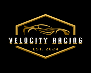 Luxury Race Car Detailing logo design