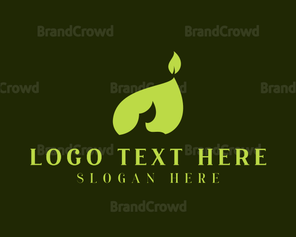 Organic Leaf Flame Logo