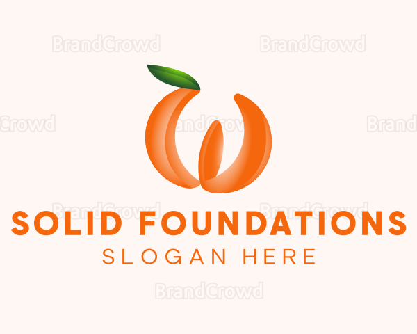 Orange Fruit Business Logo